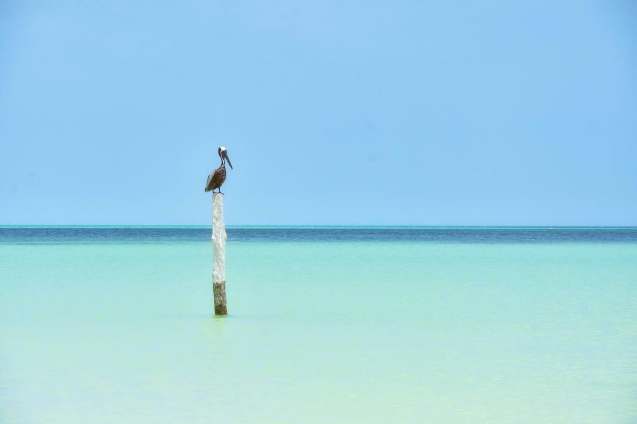 Hotel Moon Dreams Yum Balam Isla Holbox Exterior foto